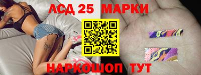 гашик Кандалакша