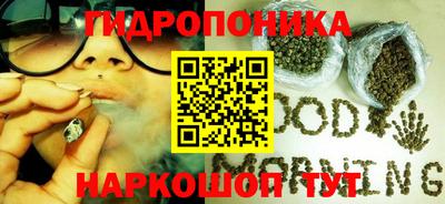 гашик Кандалакша