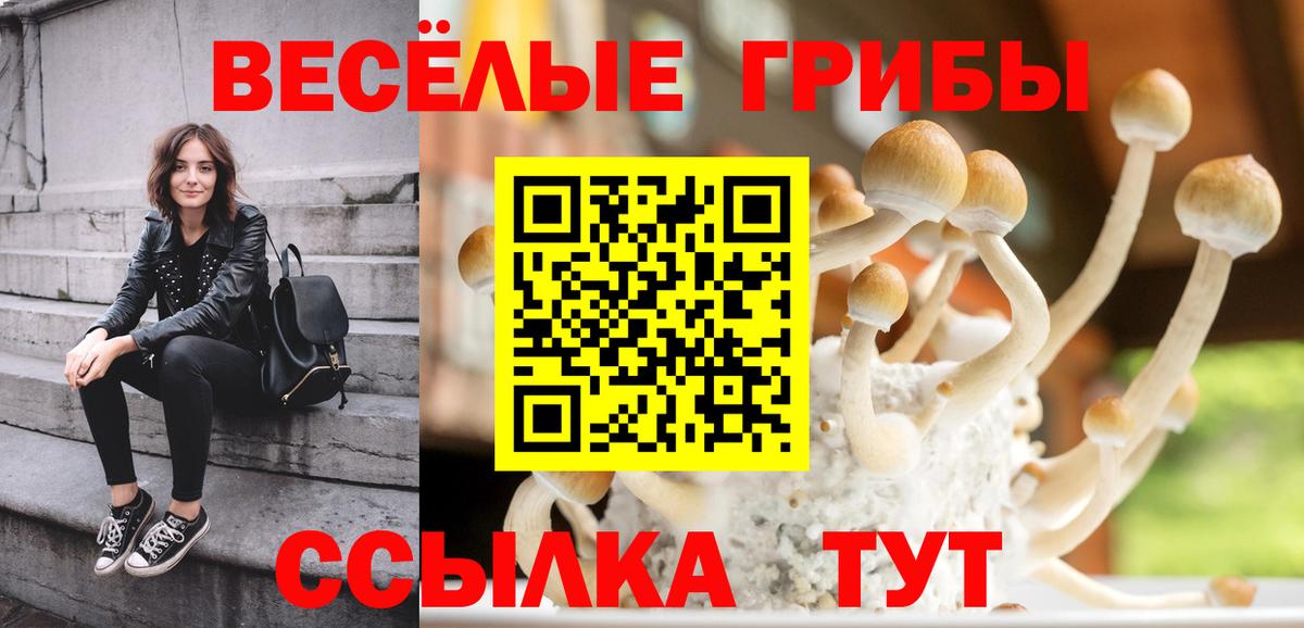 Галлюциногенные грибы Psilocybine cubensis  Вход с VPN  Кропоткин 